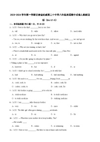 甘肃省武威第二十中学2023-2024学年八年级上学期期中英语试卷