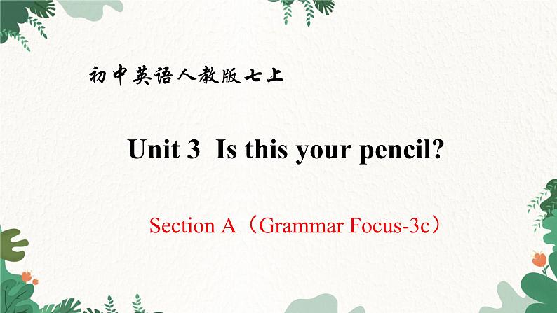 人教新目标版英语七年级上册  Unit 3 Is this your pencil Section A（Grammar Focus-3c）课件01