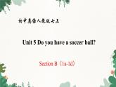 人教新目标版英语七年级上册 Section B（1a-1d） Unit 5 Do you have a soccer ball课件