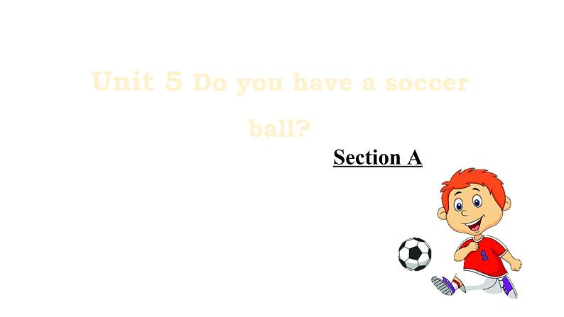 人教新目标版英语七年级上册 Unit 5 Do you have a soccer ball-Section A课件第1页