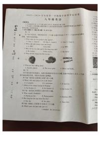 河南省商丘市2023-2024学年八年级上学期11月期中英语试题