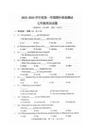 江苏省南通市启东市2023-2024学年七年级上学期11月期中英语试题