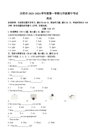 甘肃省庆阳市2023-2024学年七年级上学期期中英语试题