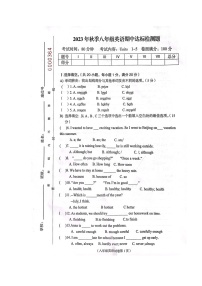 海南省省直辖县级行政单位临高县2023-2024学年八年级上学期11月期中英语试题