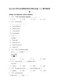 2023-2024学年山东省青岛市部分学校七年级上学期期中英语试卷（含答案解析）