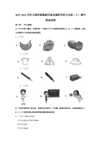 2023-2024学年天津市滨海新区泰达国际学校七年级上学期期中英语试卷（含答案解析）