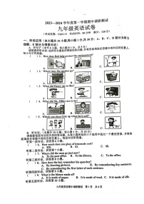 广东省湛江市廉江市2023-2024学年九年级上学期11月期中英语试题