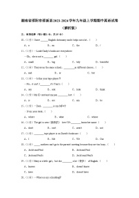 湖南省邵阳市邵新县2023-2024学年九年级上学期期中英语试卷