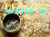 Unit 6 课件+音频人教版新目标九年级英语全一册