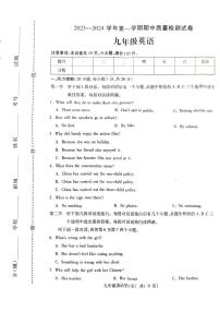 河南省平顶山市叶县2023-2024学年九年级上学期11月期中英语试题