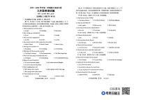 山东省聊城市东昌府区博雅等多校2023-2024学年九年级上学期期中英语试题