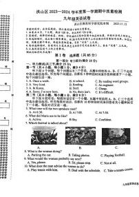 湖北省武汉市洪山区2023-2024学年九年级上学期期中英语试题