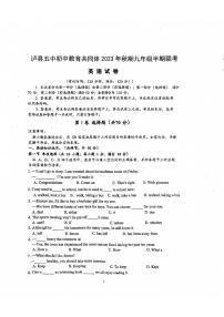 四川省泸州市泸县五中初中教育共同体2023-2024学年九年级上学期11月期中英语试题