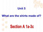 Unit 5 課件+音頻人教版新目標(biāo)九年級英語全一冊