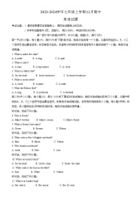 湖南省常德市澧县2023-2024学年七年级上学期11月期中英语试题