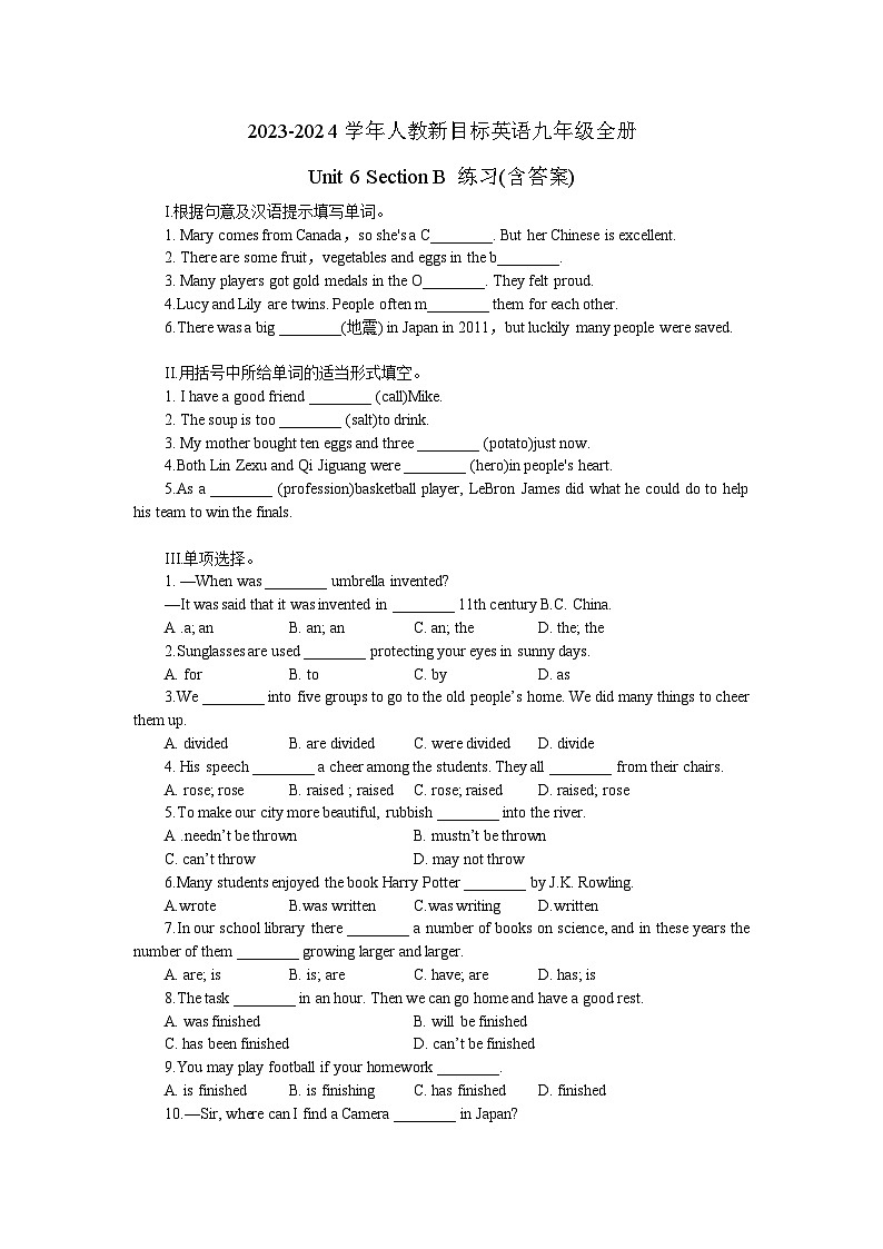 2023-2024学年人教新目标英语九年级全册Unit 6 Section B 练习(含答案)01