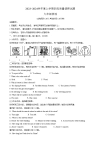 广西壮族自治区百色市2023-2024学年九年级上学期11月期中英语试题