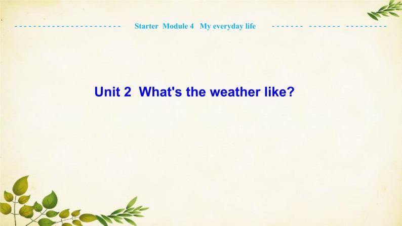 外研版英语七年级上册 Unit 2 What's the weather likeStarter  Module 4 My everyday life课件01