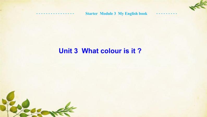 外研版英语七年级上册 Unit 3 What colour is itStarter  Module 3 My English book课件01