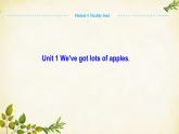 外研版英语七年级上册 Unit 1We've got lots of apples. Module 4 Healthy food课件