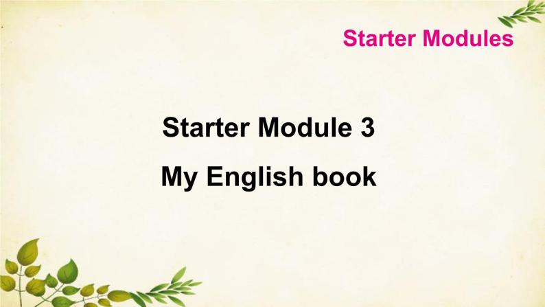 外研版英语七年级上册 Starter  Module 3My English bookStarter  Modules课件01