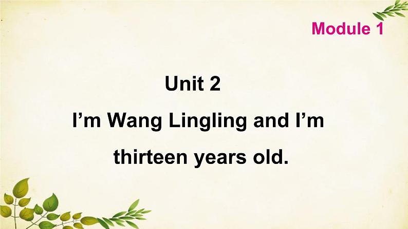 外研版英语七年级上册 Unit 2I’m Wang Lingling and I’mthirteen years old. Module 1课件01