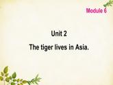 外研版英语七年级上册 Unit 2The tiger lives in Asia. Module6课件
