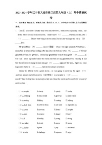 辽宁省大连市普兰店区2023-2024学年九年级上学期期中英语试卷