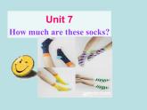 人教新目标版英语七年级上册 Unit 7 How much are these socks Section A2课件