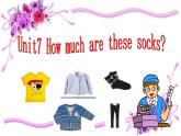 人教新目標(biāo)版英語(yǔ)七年級(jí)上冊(cè) Unit 7 How much are these socks-period 2課件