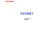 人教新目標(biāo)版英語(yǔ)七年級(jí)上冊(cè) Unit 7 How much are these socks階段專題復(fù)習(xí)課件
