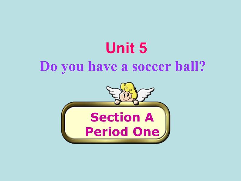 人教新目标版英语七年级上册 Unit 5 Do you have a soccer ball-Section A1课件第2页