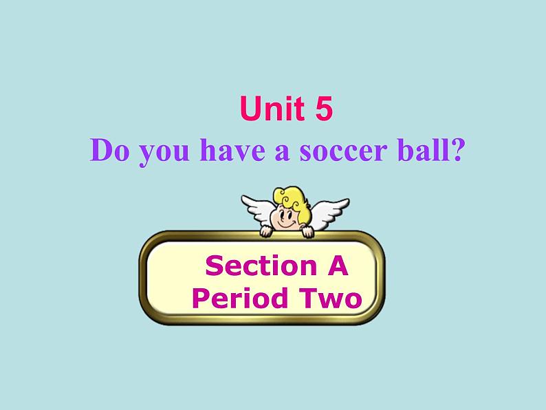 人教新目标版英语七年级上册 Unit 5 Do you have a soccer ball-Section A2课件第2页