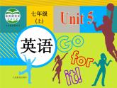 人教新目标版英语七年级上册 Unit 5 Do you have a soccer ball-Section B 2课件