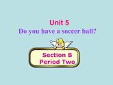 人教新目标版英语七年级上册 Unit 5 Do you have a soccer ball-Section B2课件