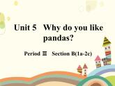 人教版英语七年级下册 Unit 5 Why do you like pandas？Unit 5 Why do you like pandas？第3课时-课件
