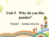 人教版英语七年级下册 Unit 5 Why do you like pandas？第1课时-课件