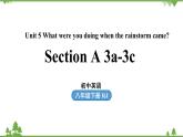 人教新目标版英语八年级下册Unit5 What were you doing when the rainstorm came（SectionA3a-3c）课件