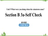 人教新目标版英语八年级下册Unit5 What were you doing when the rainstorm came（SectionB3a-Self Check）课件