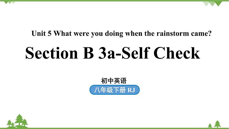 人教新目标版英语八年级下册Unit5 What were you doing when the rainstorm came（SectionB3a-Self Check）课件01