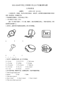 山东省临沂市罗庄区2023-2024学年七年级上学期11月期中英语试题