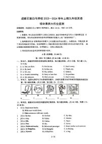 四川省成都市石室教育集团2023-2024学年九年级上学期11月期中英语试题