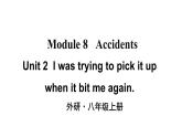 外研版英语八年级上册 Module 8 Unit 2 课件