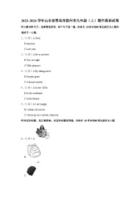 山东省青岛市胶州市2023-2024学年九年级上学期期中英语试卷