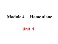 外研版 (新标准)九年级上册Unit 1 I can look after myself, although it won’t be easy for me.教学ppt课件