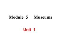 外研版 (新标准)九年级上册Module 5 MuseumsUnit 1 Don’t cross that rope!图文ppt课件