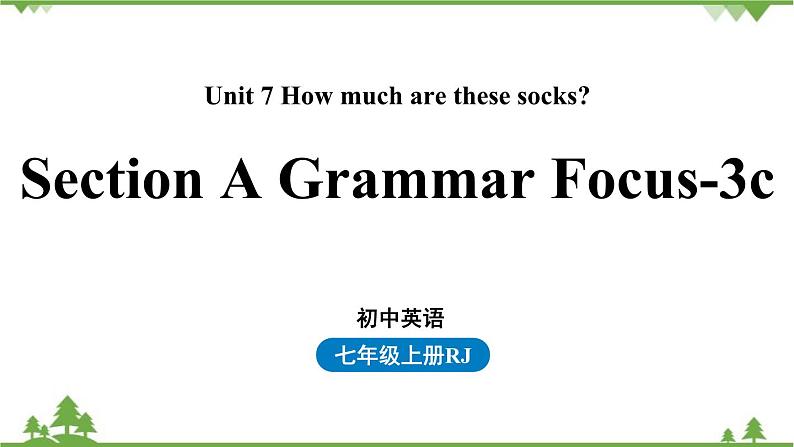 人教新目标版英语七年级上册 Unit 7 How much are these socksSection A Grammar Focus-3c课件01