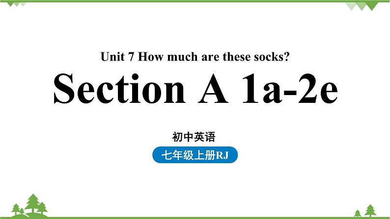 Unit 7 How much are these socks第一课时 Section A1a-2e第1页