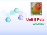 译林版英语七年级下册 Unit 8 Pets Grammer 课件