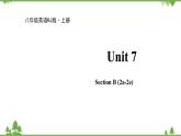 人教新目标英语八年级上册Unit 7 Will people have robots Section B (2a-2e)课件